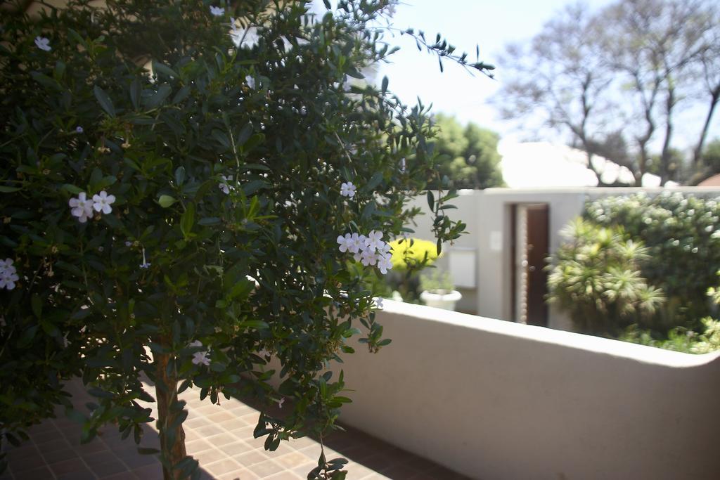 Melville Manor Guest House Johannesburg Ngoại thất bức ảnh