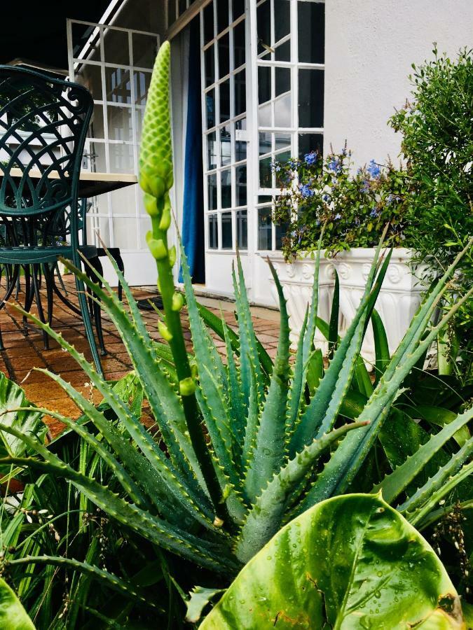 Melville Manor Guest House Johannesburg Ngoại thất bức ảnh