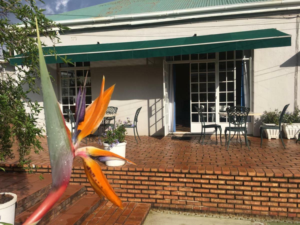 Melville Manor Guest House Johannesburg Ngoại thất bức ảnh